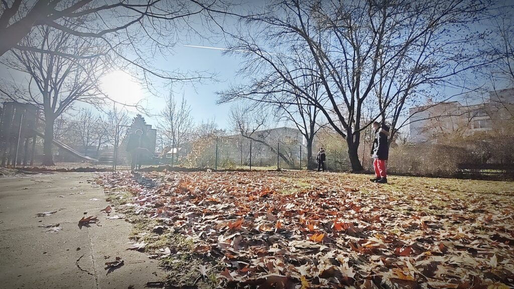 IMG 20251202 113515 CX IL Rabenbande WEB