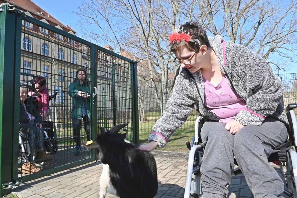 AAC 3539 CX IL IrrLaeufer WEB CX IL IrrLaeufer WEB s