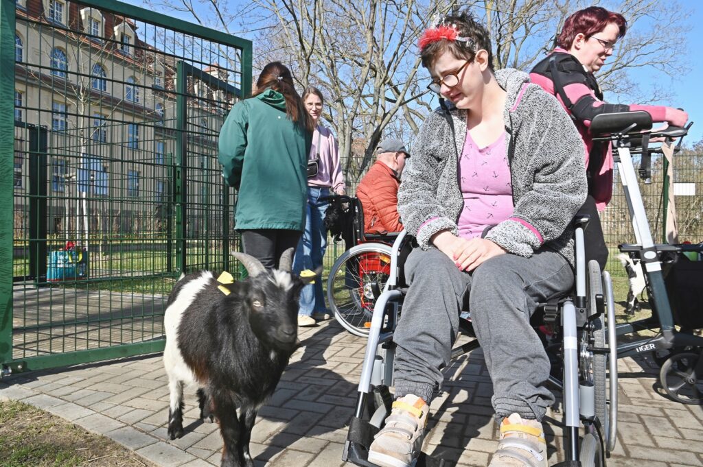 AAC 3541 CX IL IrrLaeufer WEB CX IL IrrLaeufer WEB s