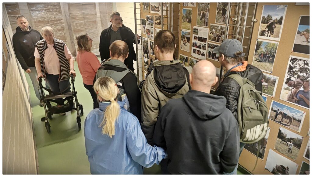 IMG 20260319 093105 CX IL federleicht WEB