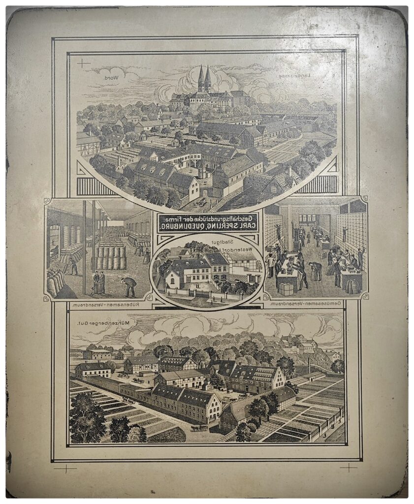 IMG 20260319 093316 CX IL federleicht WEB