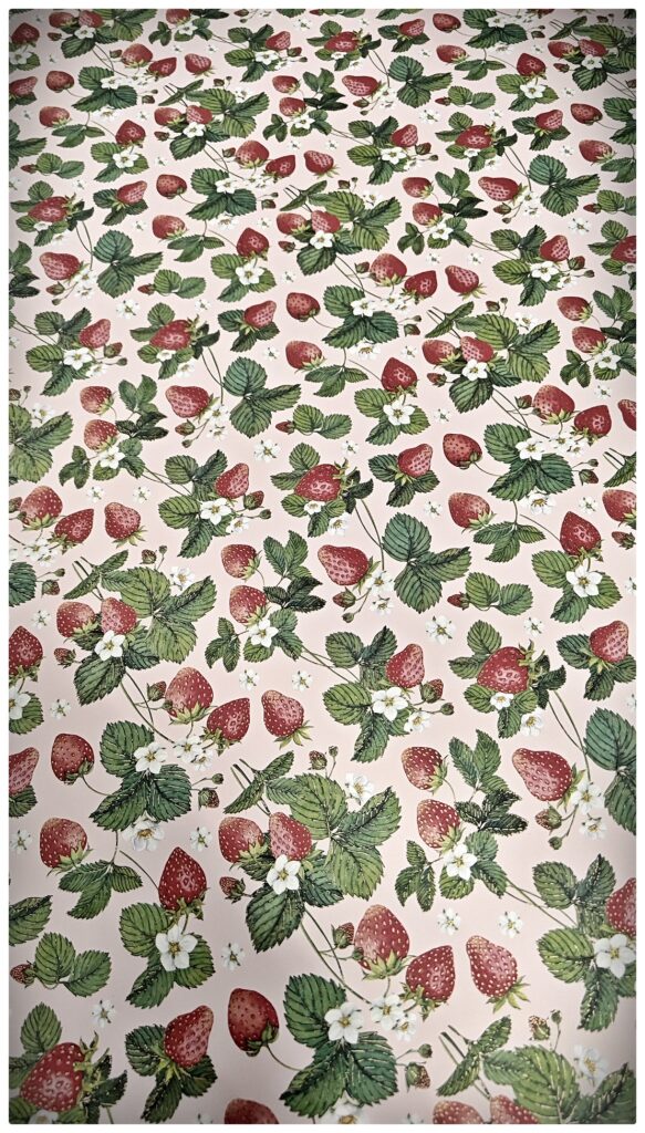 IMG 20260319 103621 CX IL federleicht WEB