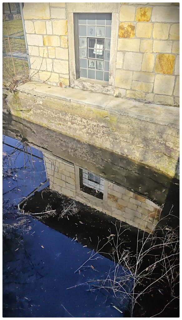 IMG 20260319 104408 CX IL federleicht WEB